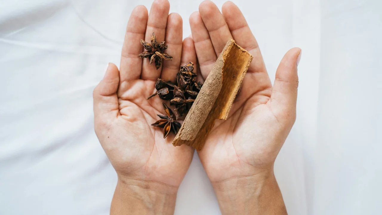 Hands cupped around star anise and a cinnamon stick, illustrating botanicals used in essential oil pest repellents.
