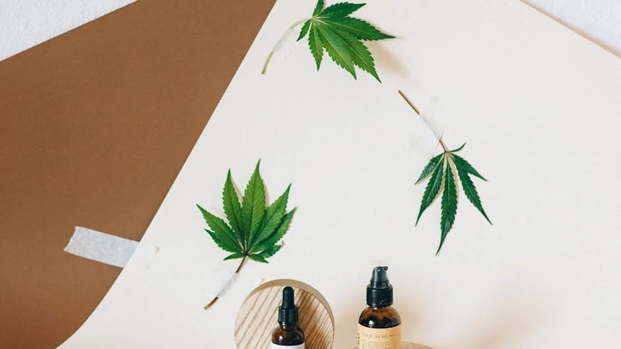 Green cannabis leaves and amber dropper bottles for botanical oils on a white and tan background
