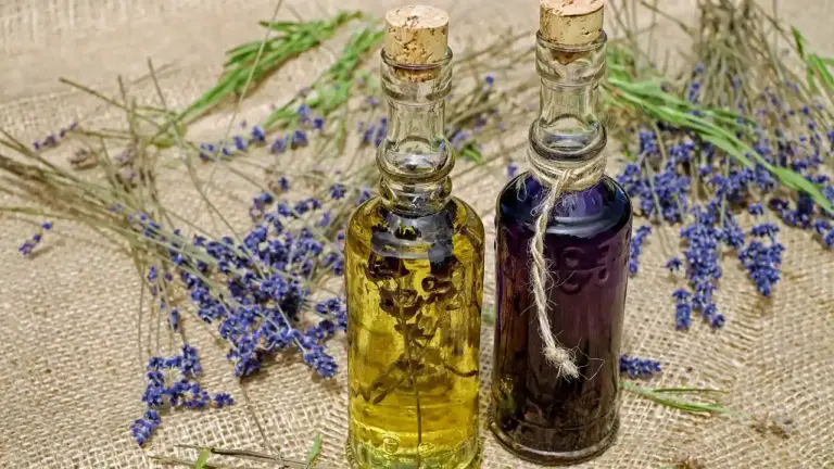 Two glass bottles with cork stoppers containing golden and dark purple botanical oils, surrounded by lavender sprigs on a textured burlap surface.