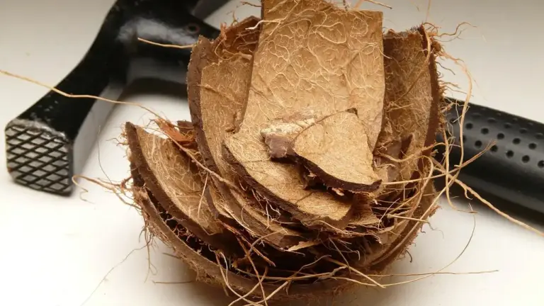 Close-up of brown coconut husk and shell pieces on a white surface with a tool in the background.