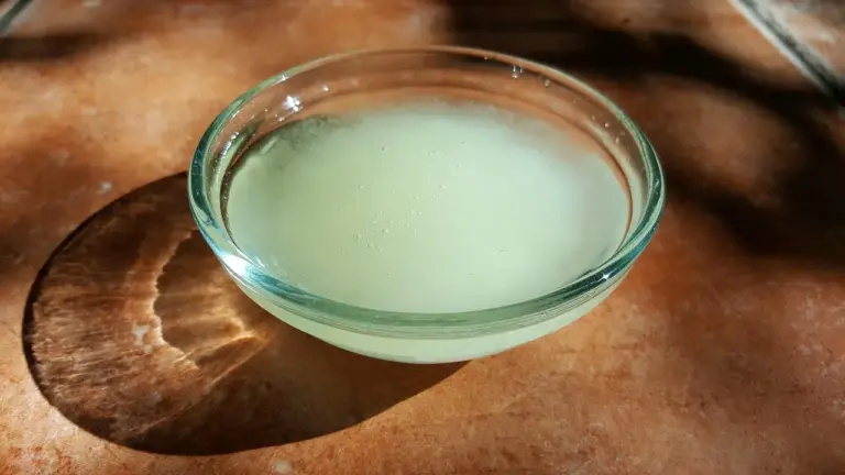 Shallow glass bowl of melted coconut oil on a wooden surface in sunlight
