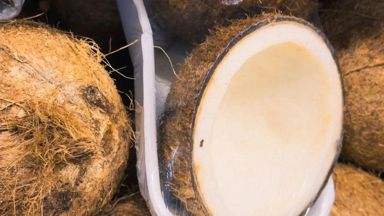 Close-up of whole coconuts with fibrous husks, and a halved coconut revealing white flesh