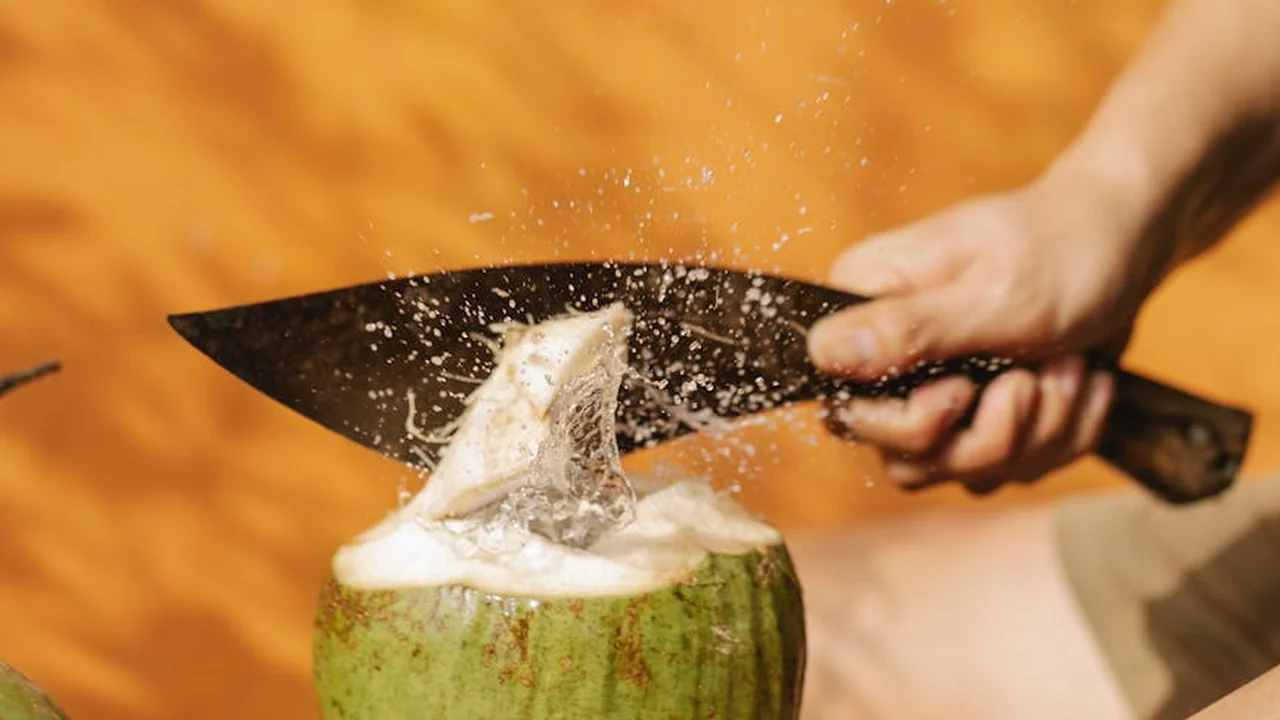 A hand with a knife scooping fresh coconut meat from a cracked coconut.