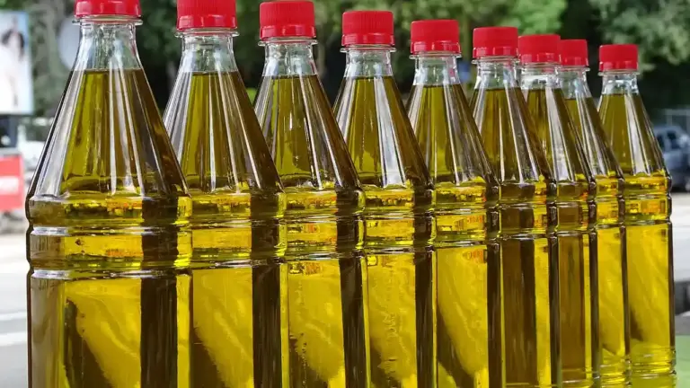 Rows of glass bottles filled with golden cooking oil with red caps.