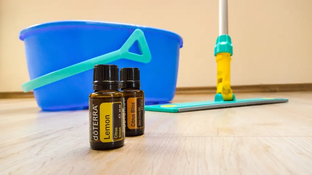 What Can Peppermint, Lemon, Lemongrass, and Thieves Oils Do for Your Diffuser?