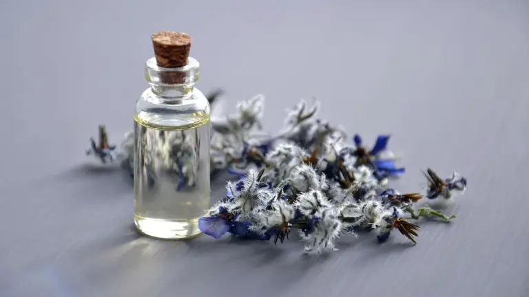 Small glass bottle of essential oil with a cork, placed beside dried white and blue flowers on a soft gray surface.