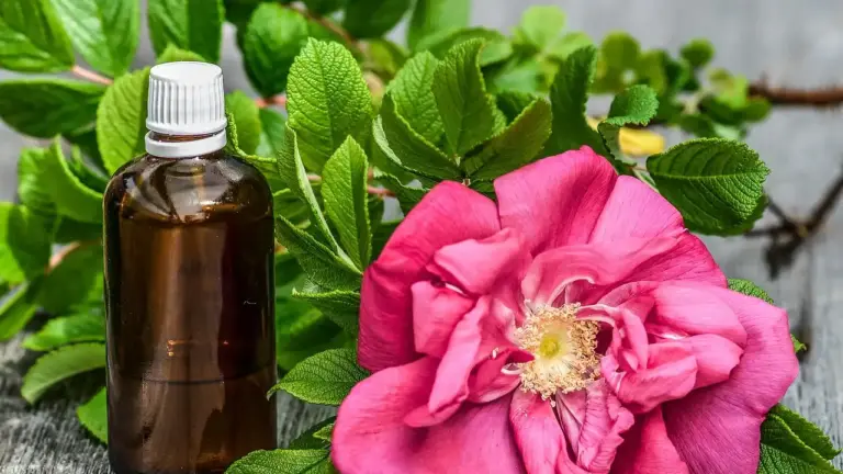 Brown glass essential oil bottle among green leaves and a pink rose