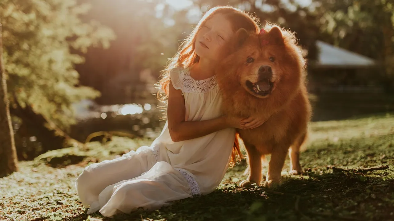 Young girl in a white dress sits on the grass, hugging a fluffy dog outdoors in bright sunlight.