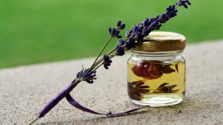 Lavender essential oil in a small glass jar with dried lavender sprigs on a neutral surface.