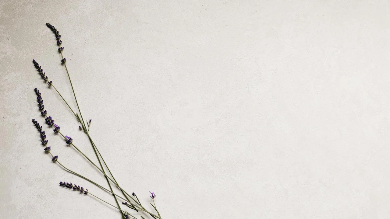 Close-up of lavender sprigs on a light, neutral background, representing essential oils on the shelf for pets.