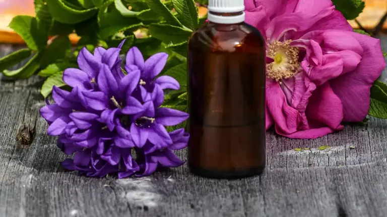 Brown glass bottle of massage or essential oil surrounded by purple and pink flowers on a wooden surface.