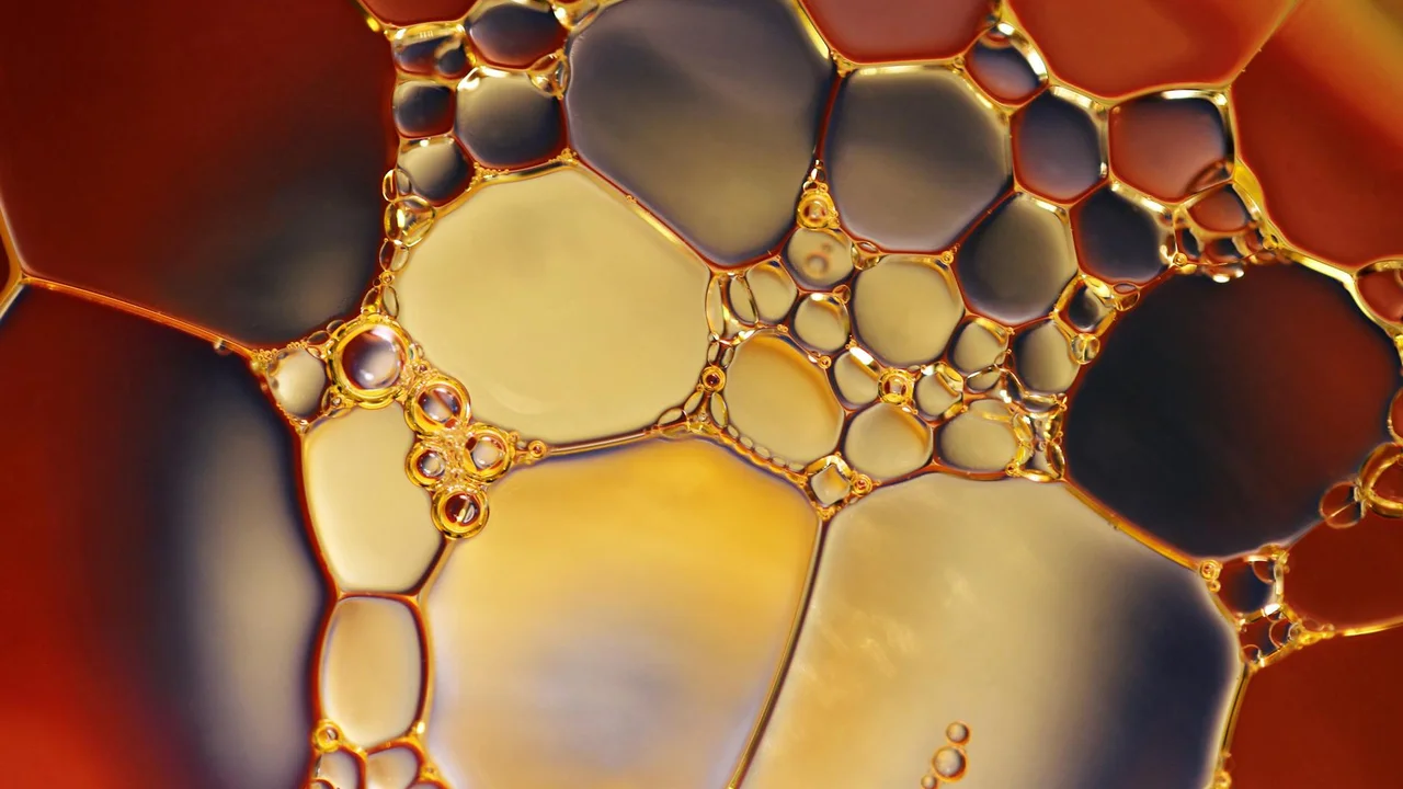 Close-up macro of olive oil and coconut oil droplets forming a bubbly pattern