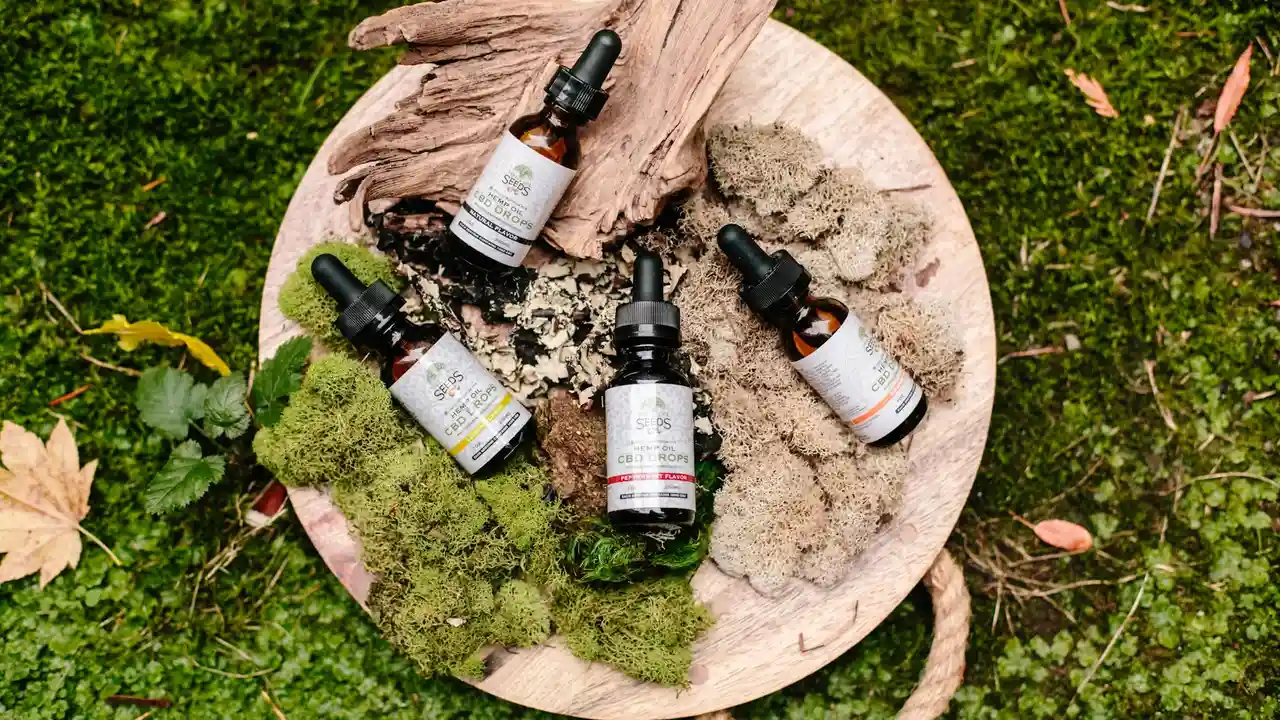 Dropper bottles of essential oils on a round wooden tray resting on a mossy surface