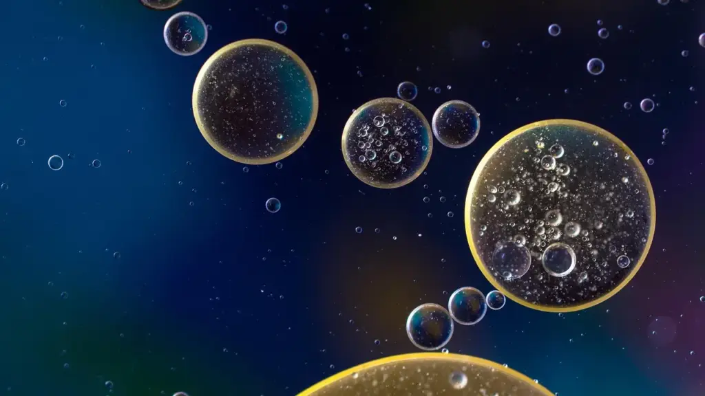 How Do You Remove Vegetable Oil and Diesel Oil Stains from Clothing, Upholstery, and Concrete?