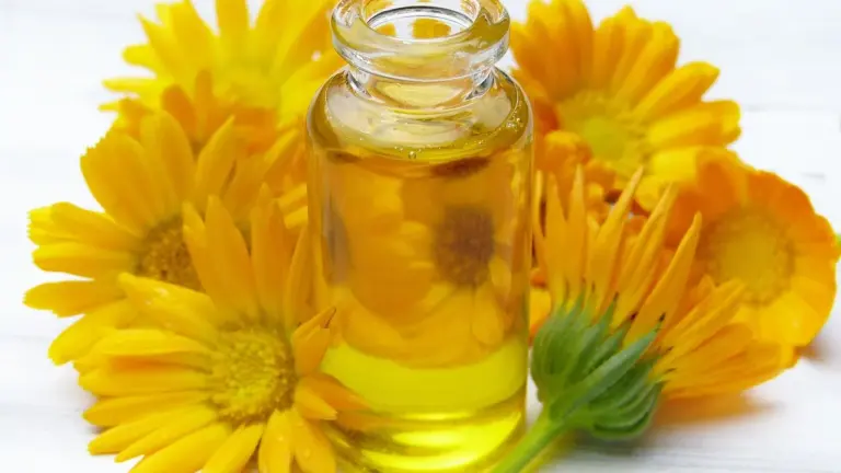 A glass bottle of yellow oil surrounded by bright yellow sunflowers