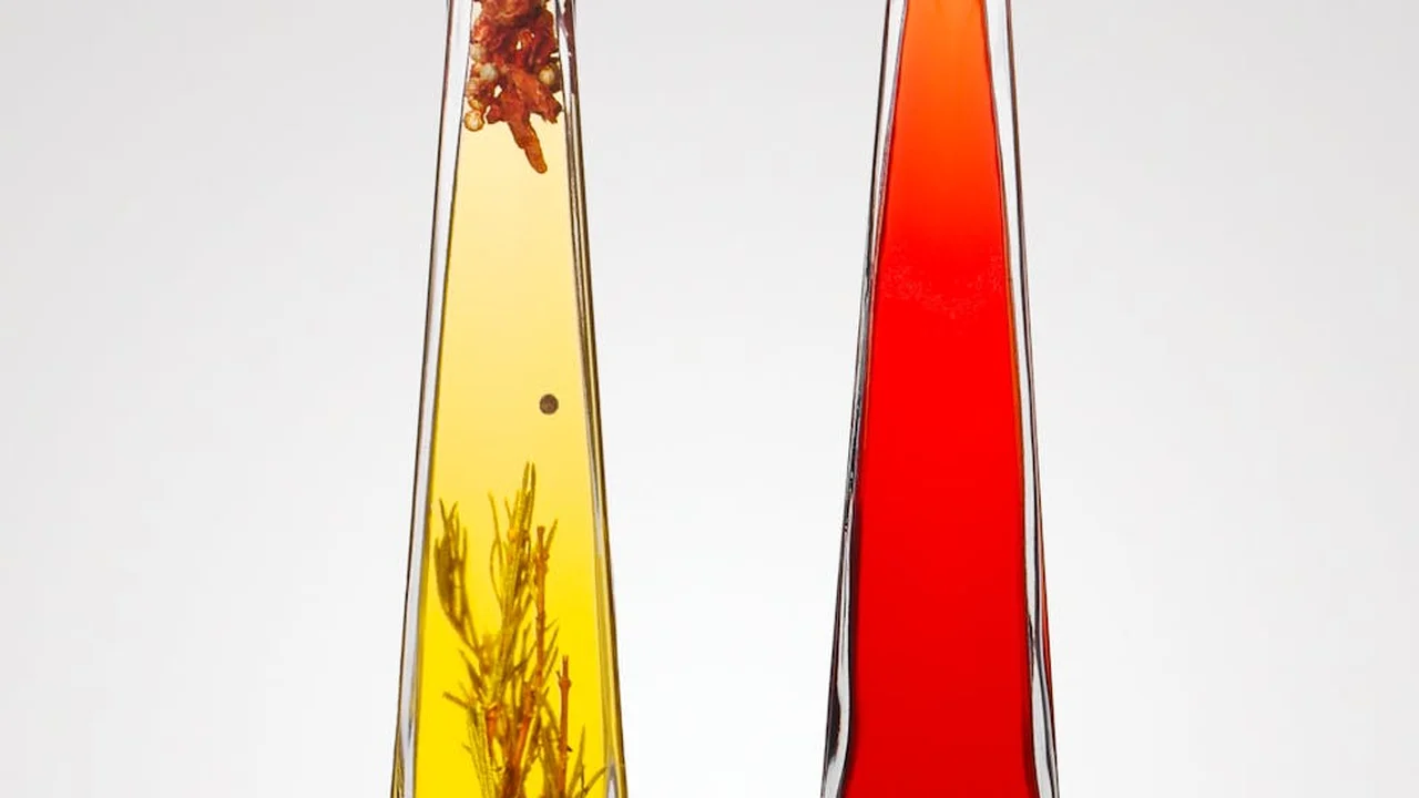 Two tall glass bottles of olive oil on a light background, with a pale yellow oil on the left and a deeper amber oil on the right.