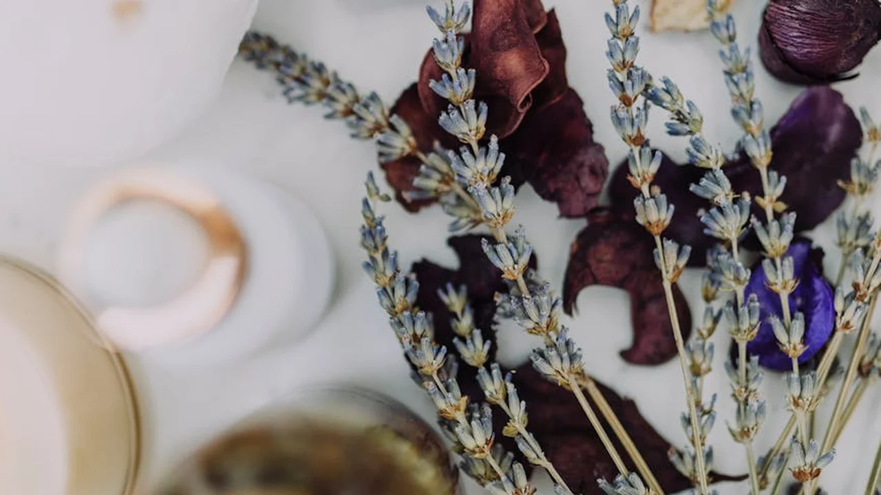 Close-up of lavender sprigs and dried flowers arranged with a bottle of oil on a white surface, suggesting natural skincare oil alternatives.