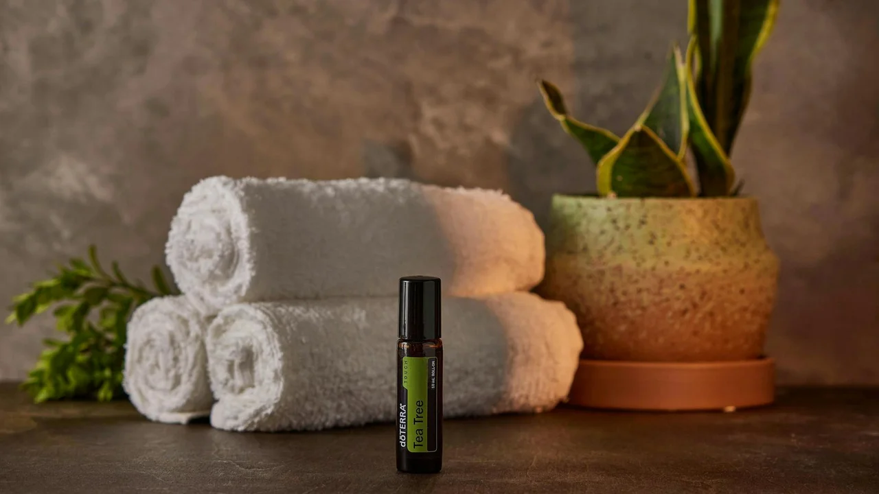 A small bottle of tea tree oil sits beside neatly rolled white towels and a potted plant on a wooden surface.