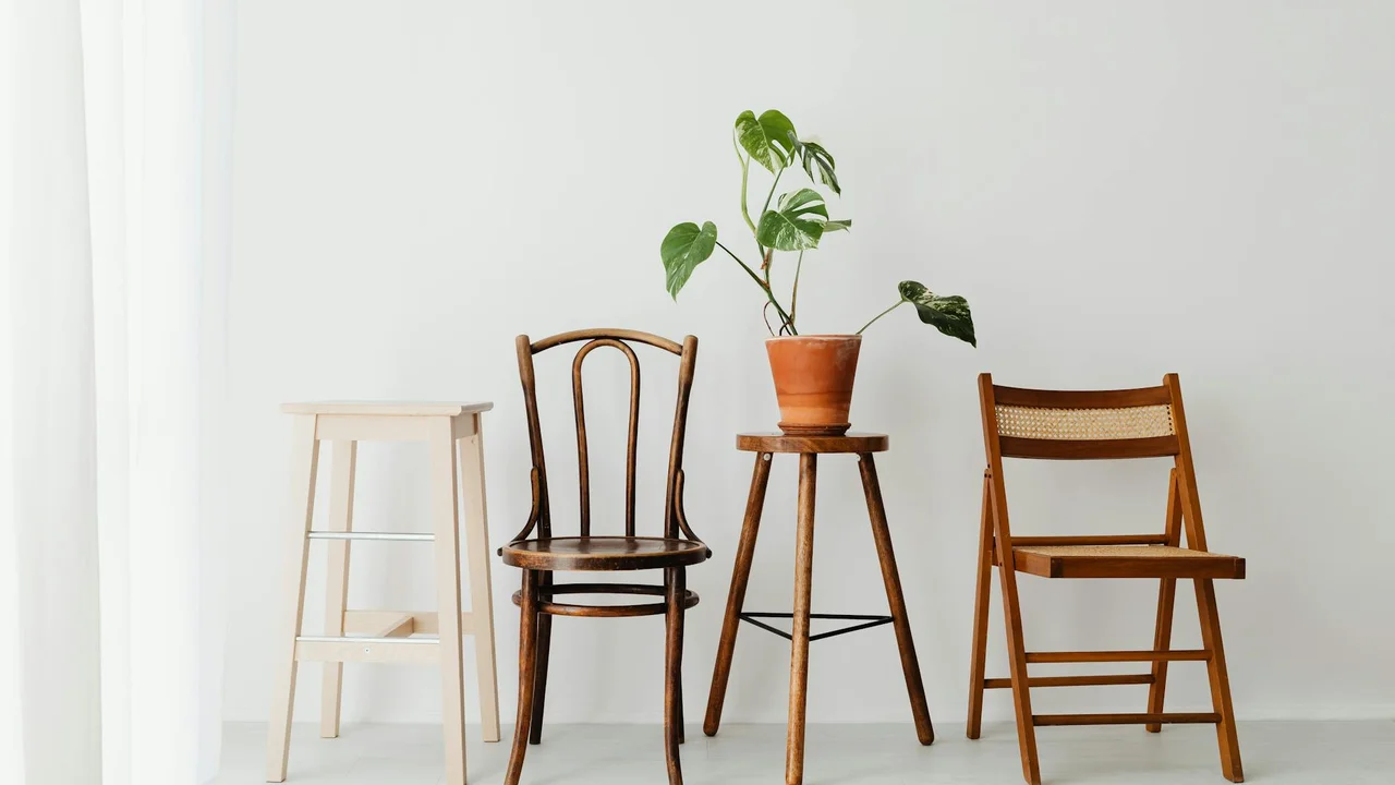 Minimal interior with four wooden pieces: a light stool on the left, a dark wooden chair in the center, a plant on a small stand, and a folding wooden chair on the right, all against a white wall.